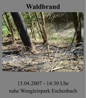 Waldbrand 15.04.2007 - 14:30 Uhr nahe Wengleinpark Eschenbach