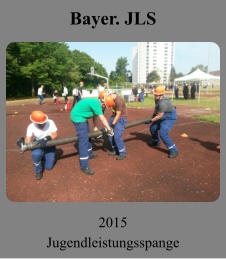 Bayer. JLS 2015 Jugendleistungsspange