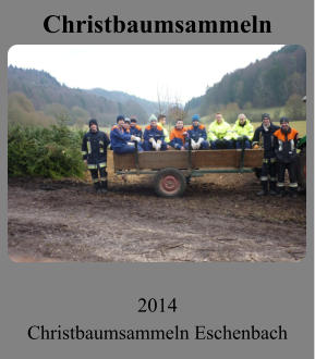 Christbaumsammeln 2014 Christbaumsammeln Eschenbach